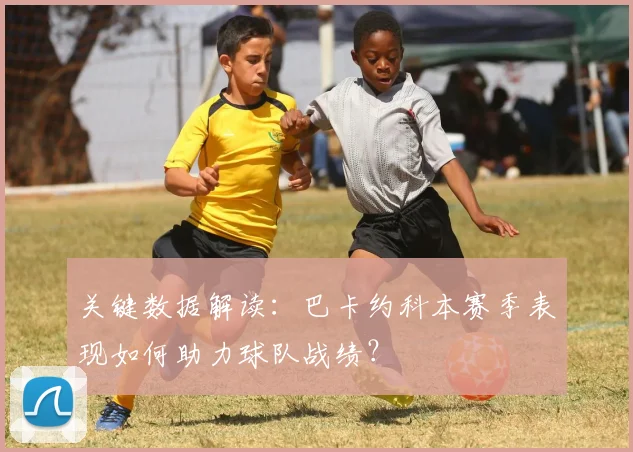 关键数据解读：巴卡约科本赛季表现如何助力球队战绩？