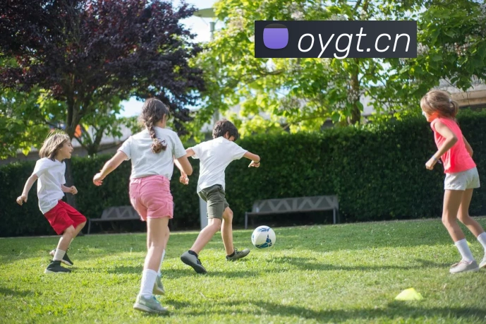 开云在线登录入口官网发展历程