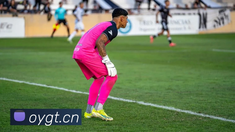 关键数据解读：巴卡约科本赛季表现如何助力球队战绩？